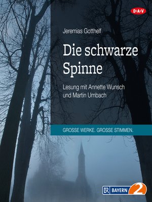 cover image of Die schwarze Spinne